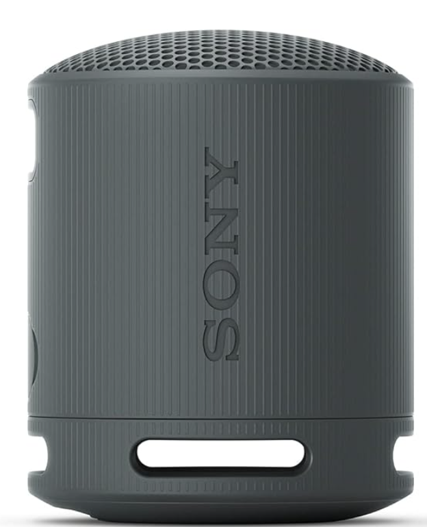 Sony SRS-XB100