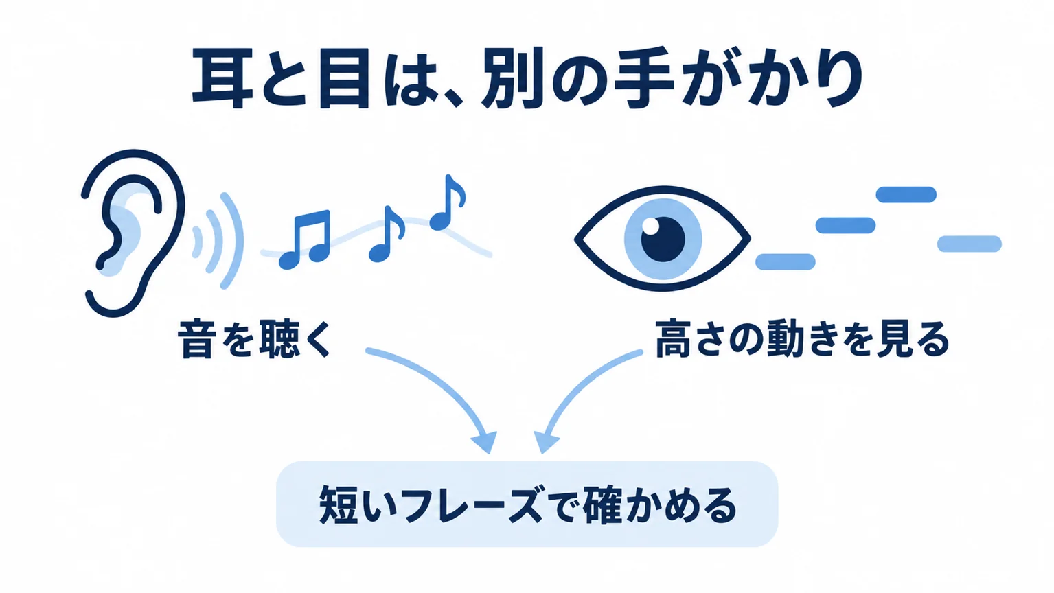 音を聴く手がかりと高さの動きを見る手がかりを短いフレーズで照らし合わせる